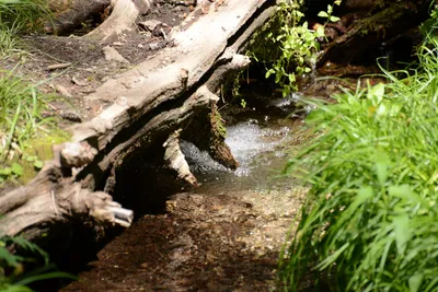 DSC_3192 (Large).JPG